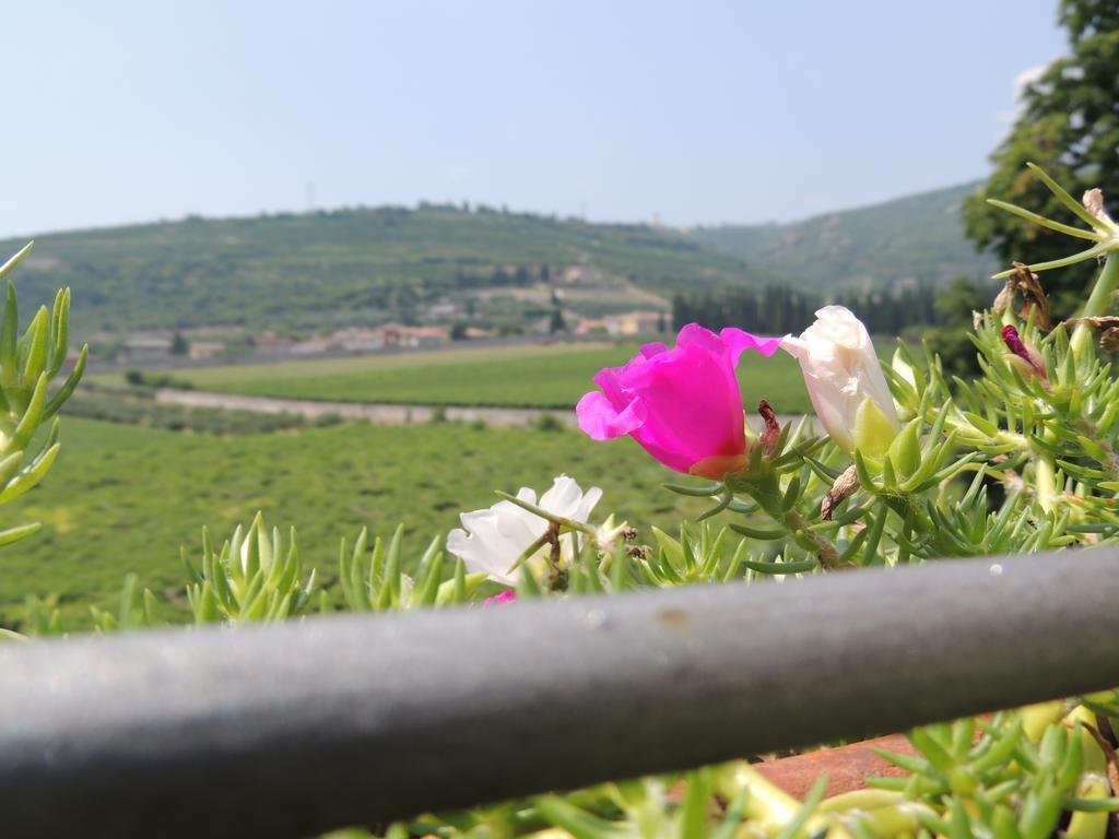 B&B Villa Monteleone Sant'Ambrogio di Valpolicella Luaran gambar